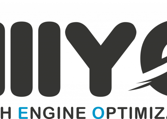 Niiyo Explains Why It Is Important to Have SEO Services for Businesses